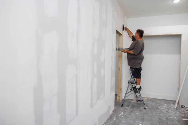 Best Black Mold Removal  in Ironde, AL